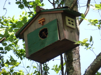 鳥の家 (1).JPG
